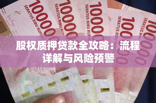 武汉股权质押贷款全攻略：流程详解与风险预警