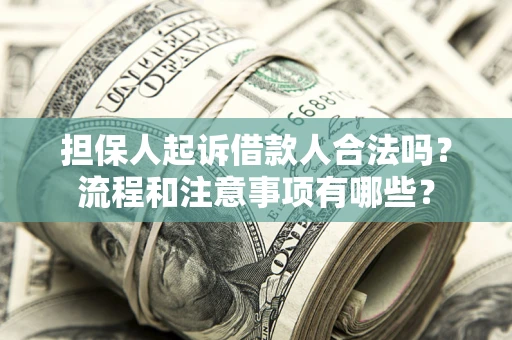 武汉担保人起诉借款人合法吗？流程和注意事项有哪些？