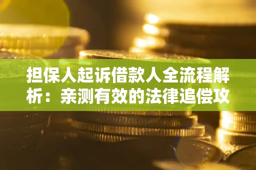 武汉担保人起诉借款人全流程解析：亲测有效的法律追偿攻略