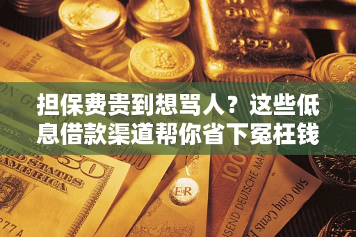 武汉担保费贵到想骂人？这些低息借款渠道帮你省下冤枉钱