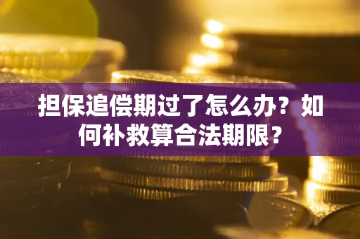 武汉担保追偿期过了怎么办？如何补救算合法期限？