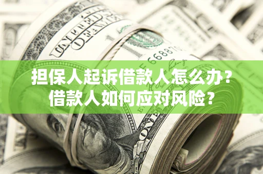 武汉担保人起诉借款人怎么办？借款人如何应对风险？