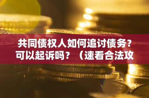 武汉共同债权人如何追讨债务？可以起诉吗？（速看合法攻略）