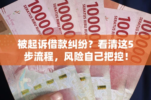 武汉被起诉借款纠纷？看清这5步流程，风险自己把控！