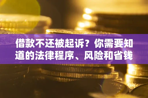 武汉借款不还被起诉？你需要知道的法律程序、风险和省钱技巧