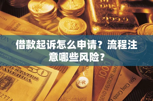 武汉借款起诉怎么申请？流程注意哪些风险？