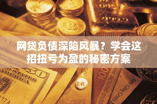 武汉网贷负债深陷风暴？学会这招扭亏为盈的秘密方案