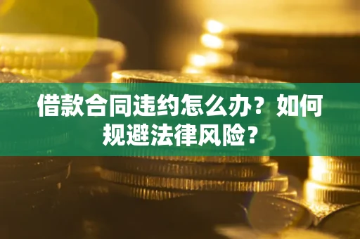 武汉借款合同违约怎么办？如何规避法律风险？
